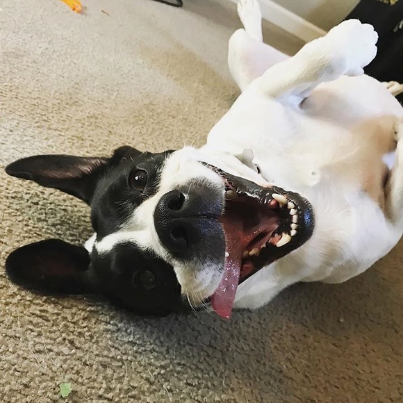 Meet Laur 🌷 - Picture 7 of 7